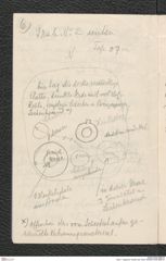 Seite 7, Tagebuch "Kuffern (ab 1930)" (NHMW-PRAE-BBB-57)